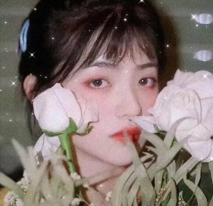学校的墙不见了